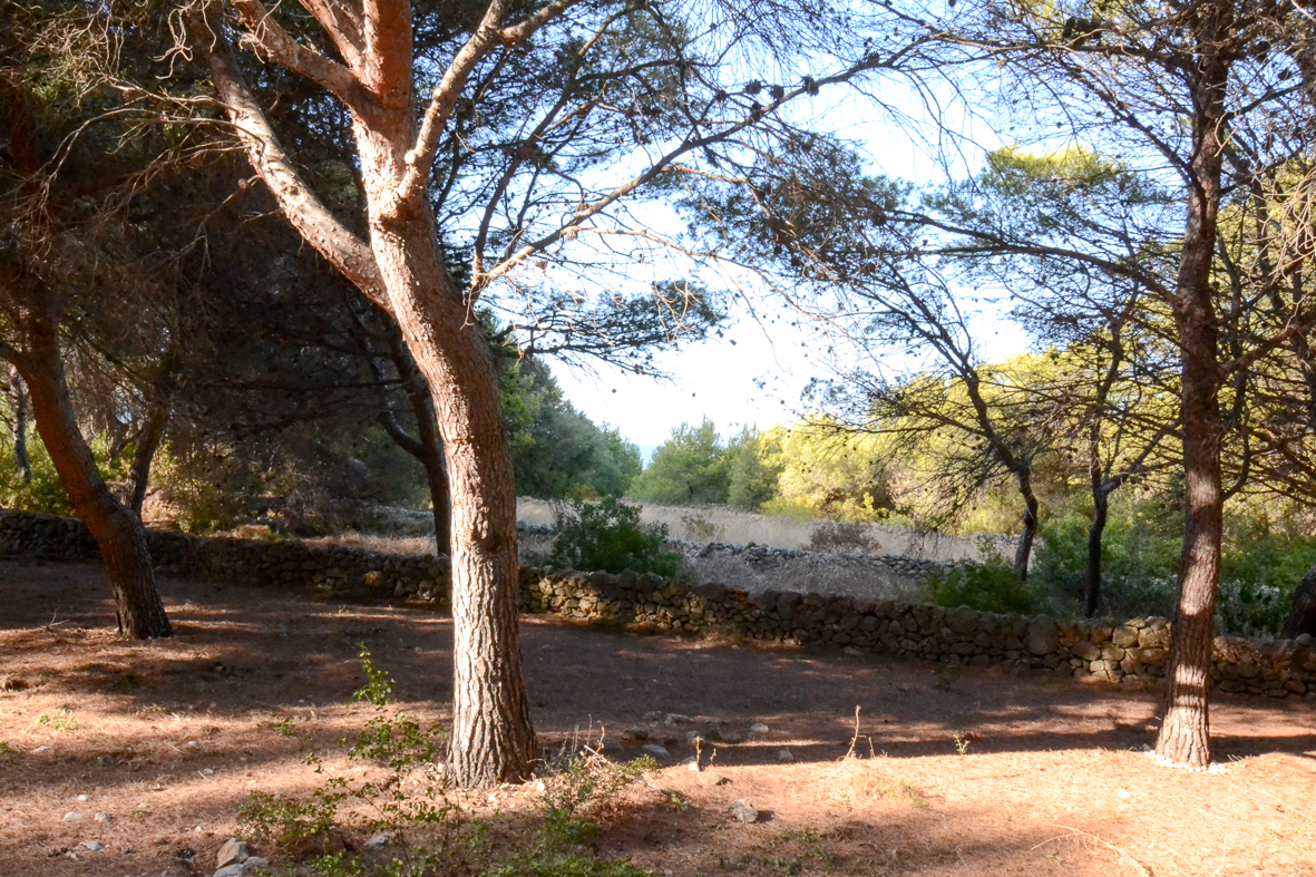Stunning plot for sale in Las Rotas.